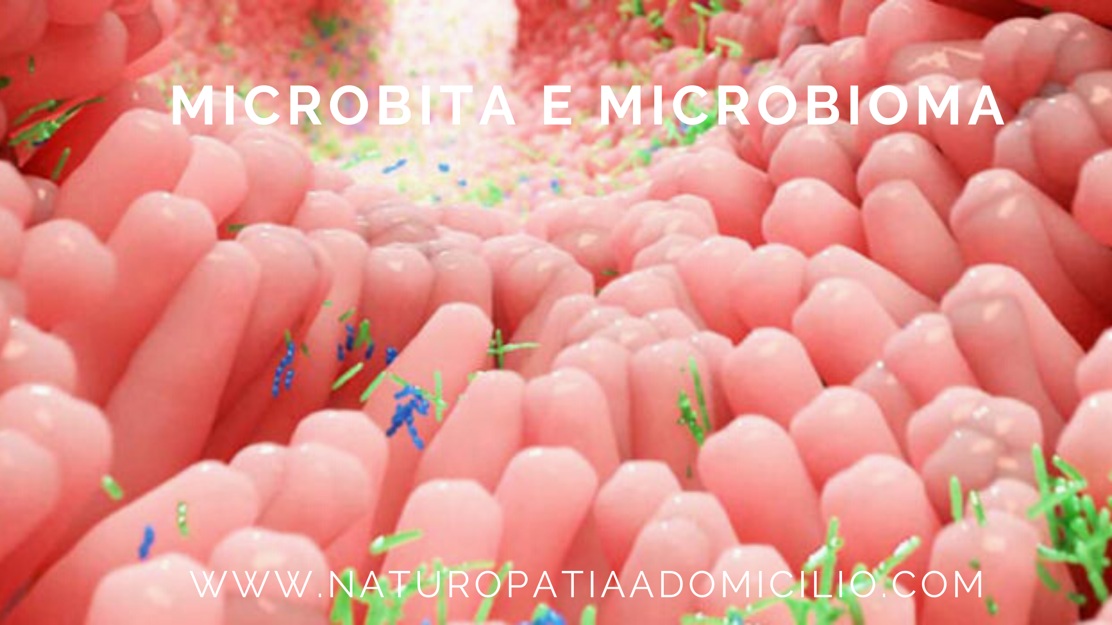 Microbiota, Microbioma
