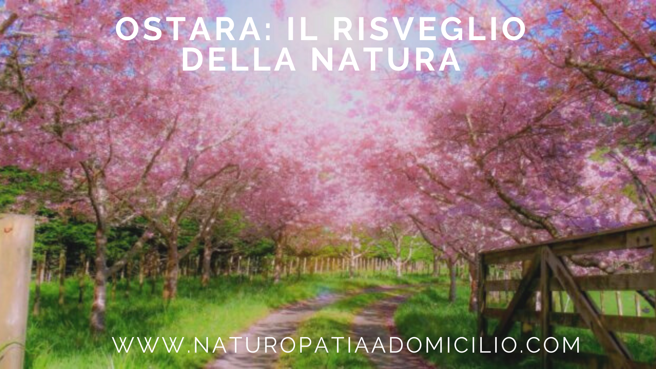 Ostara: Il Risveglio Della Natura